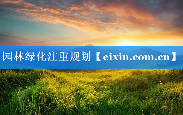 園林綠化注重規(guī)劃
