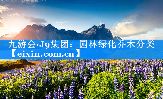 園林綠化喬木分類