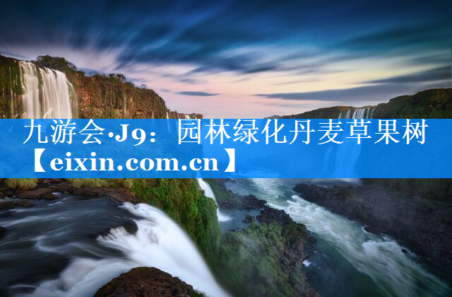 園林綠化丹麥草果樹