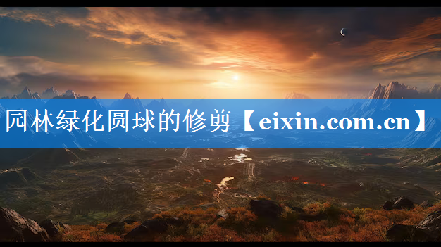 園林綠化圓球的修剪