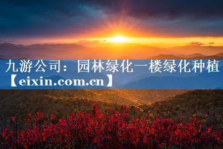 園林綠化一樓綠化種植