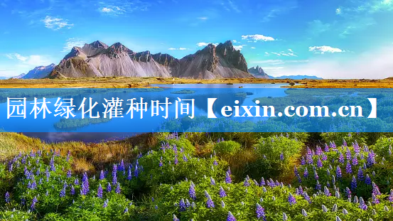 園林綠化灌種時間