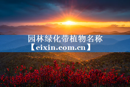 園林綠化帶植物名稱