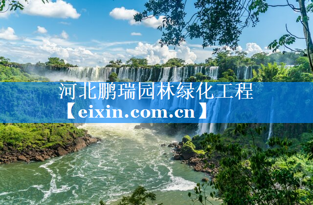 河北鵬瑞園林綠化工程