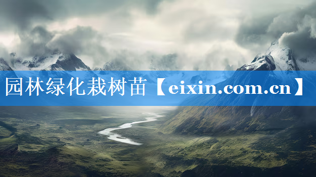 園林綠化栽樹苗