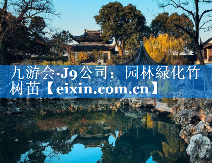 園林綠化竹樹(shù)苗