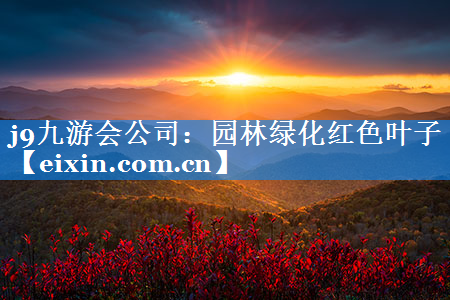 園林綠化紅色葉子