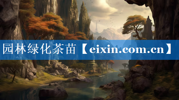 園林綠化茶苗