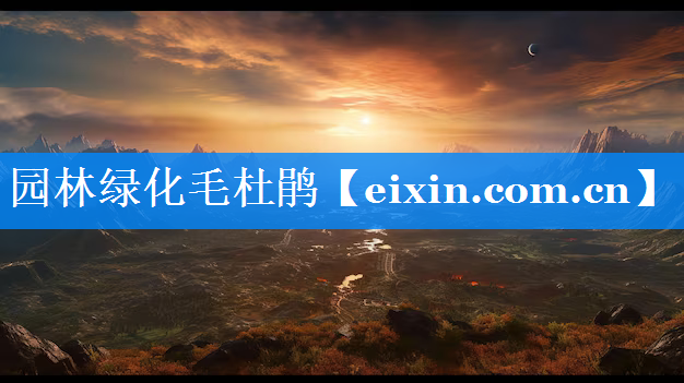 園林綠化毛杜鵑