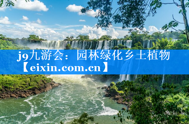 園林綠化鄉(xiāng)土植物