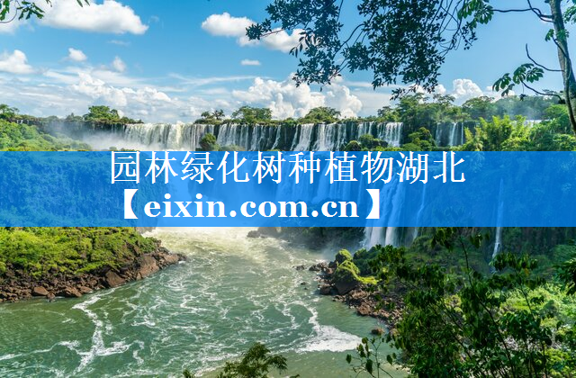 園林綠化樹種植物湖北