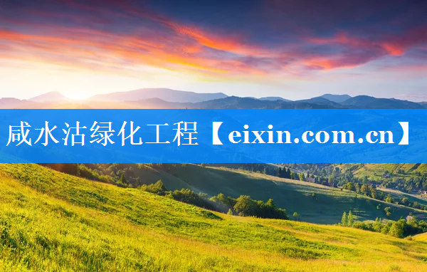 咸水沽綠化工程
