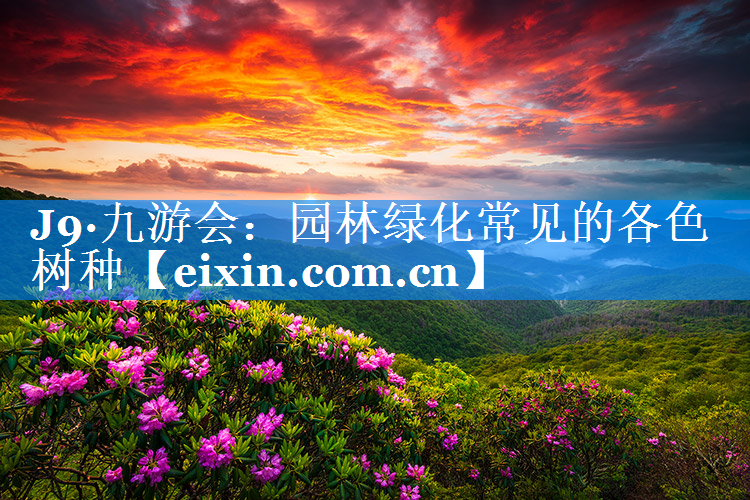 園林綠化常見的各色樹種