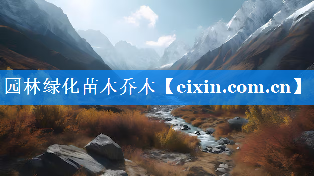 園林綠化苗木喬木