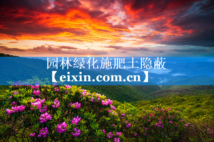 園林綠化施肥土隱蔽