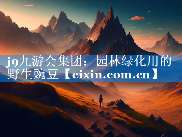 園林綠化用的野生豌豆