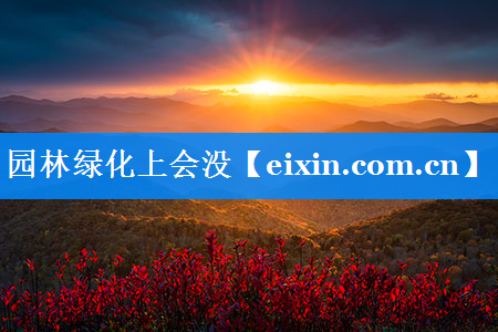 園林綠化上會沒