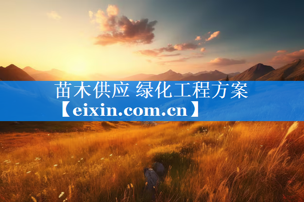 苗木供應(yīng) 綠化工程方案