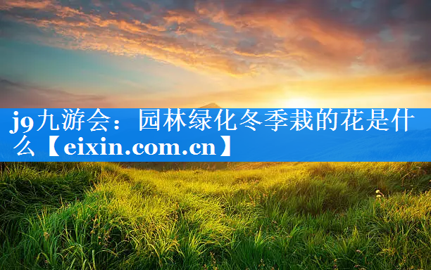 園林綠化冬季栽的花是什么