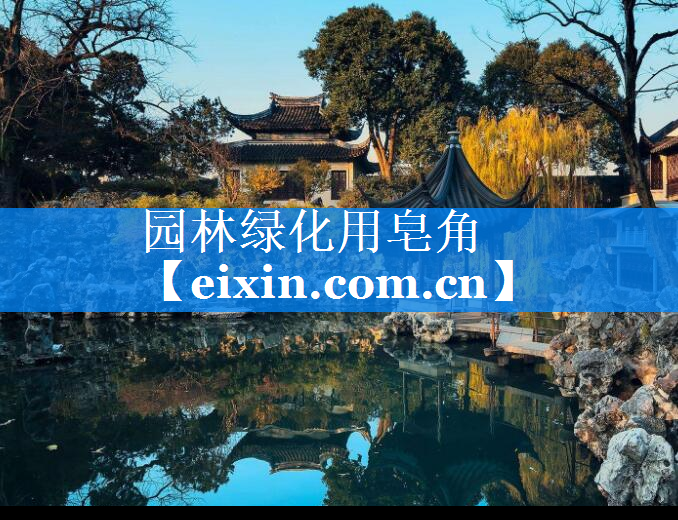 園林綠化用皂角