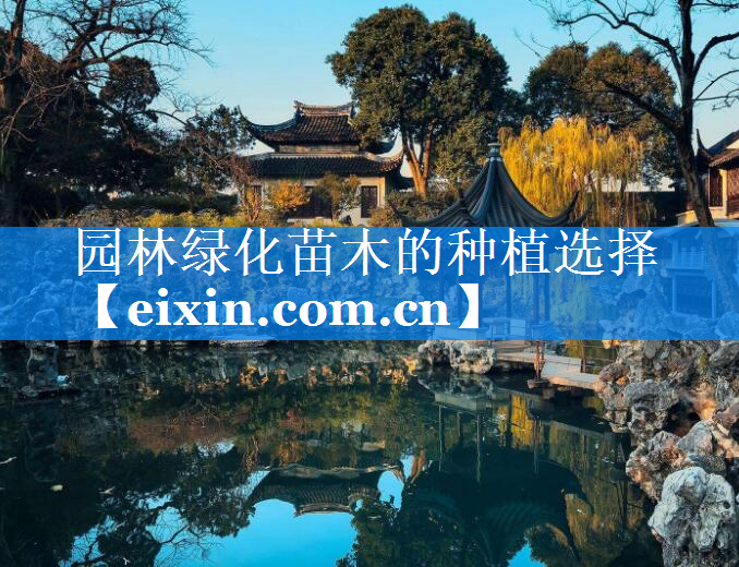 園林綠化苗木的種植選擇