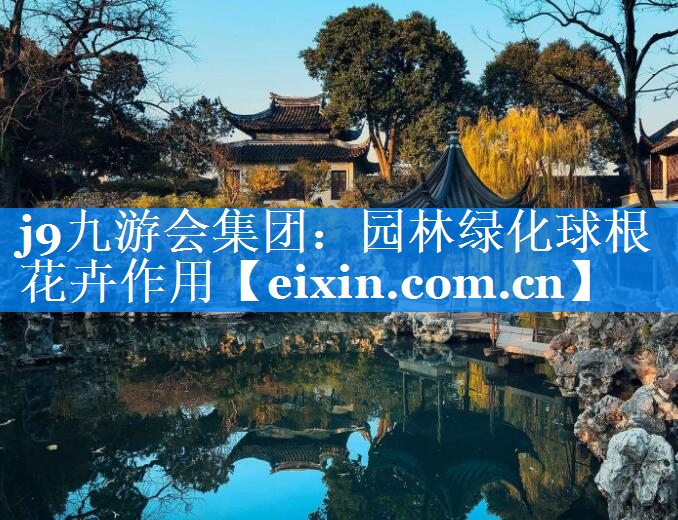 園林綠化球根花卉作用