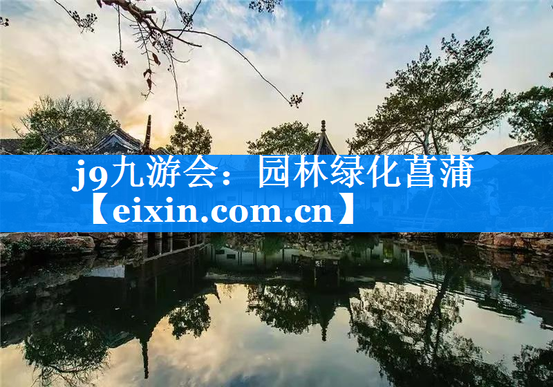 園林綠化菖蒲