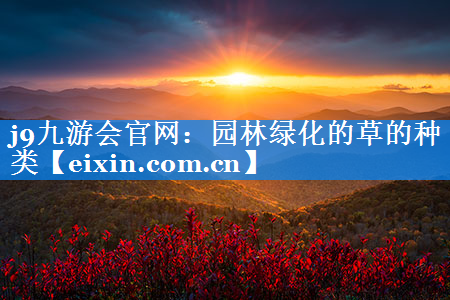 園林綠化的草的種類