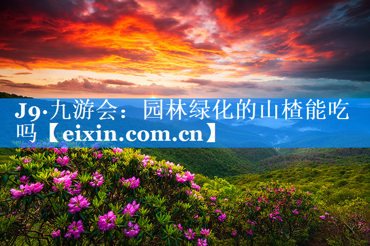 園林綠化的山楂能吃嗎