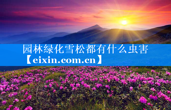 園林綠化雪松都有什么蟲害