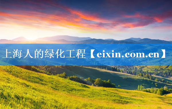 上海人的綠化工程