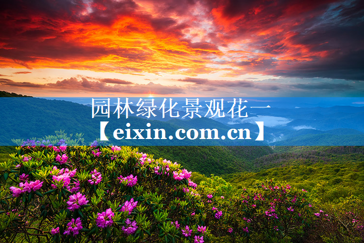 園林綠化景觀花一