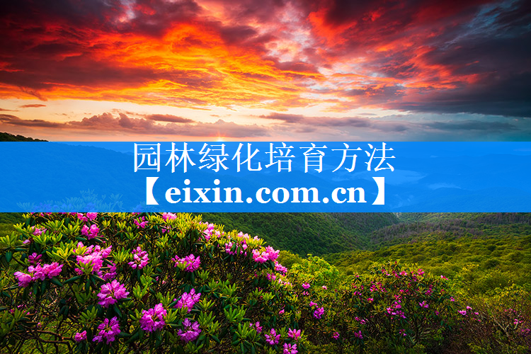 園林綠化培育方法