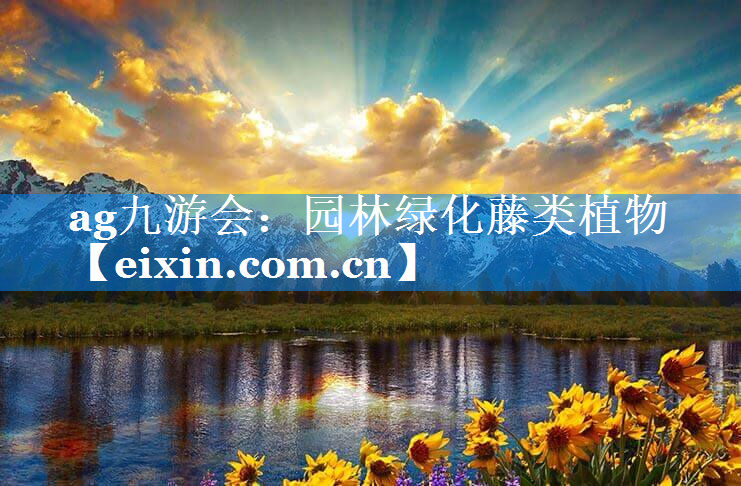 園林綠化藤類植物