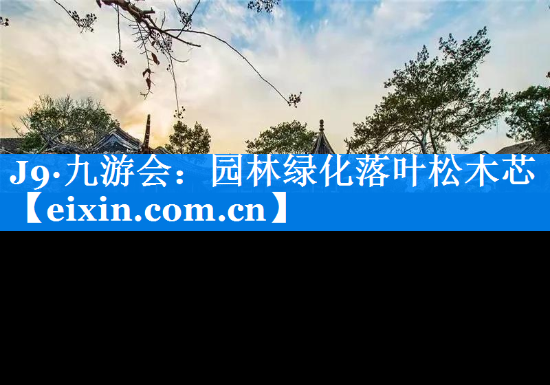 園林綠化落葉松木芯