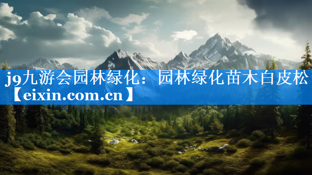 園林綠化苗木白皮松