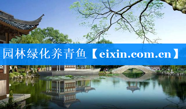 園林綠化養(yǎng)青魚(yú)