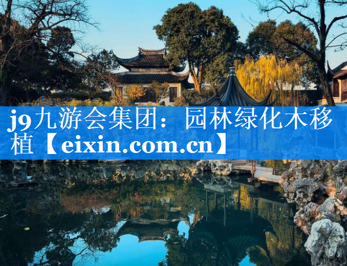 園林綠化木移植