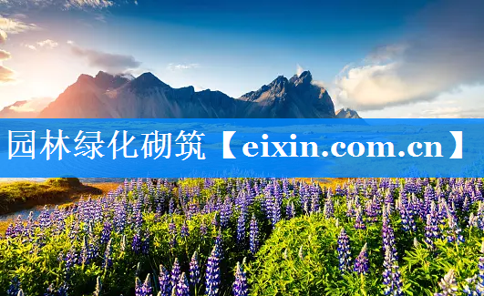 園林綠化砌筑