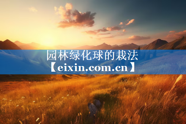 園林綠化球的栽法