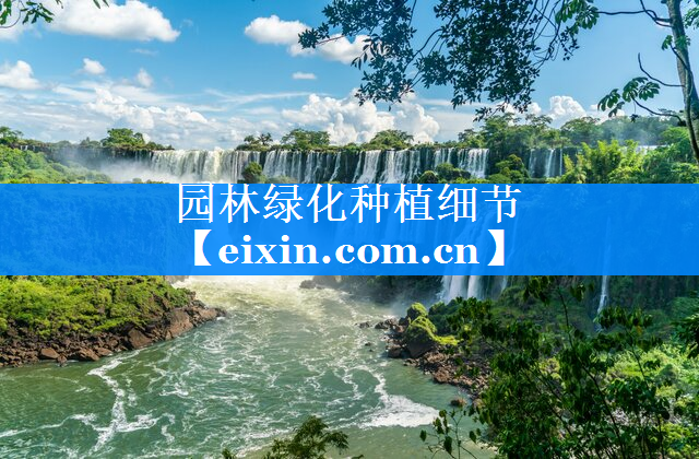 園林綠化種植細(xì)節(jié)