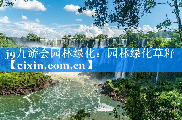園林綠化草籽