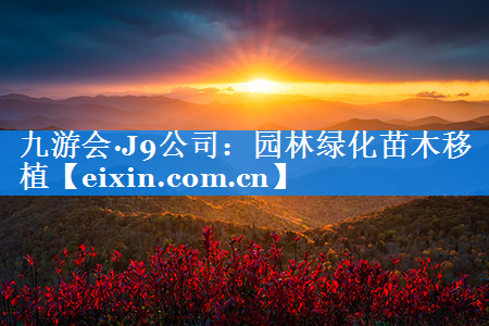園林綠化苗木移植