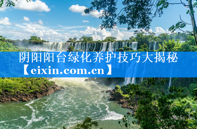 陰陽陽臺綠化養(yǎng)護技巧大揭秘