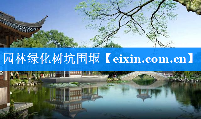 園林綠化樹坑圍堰