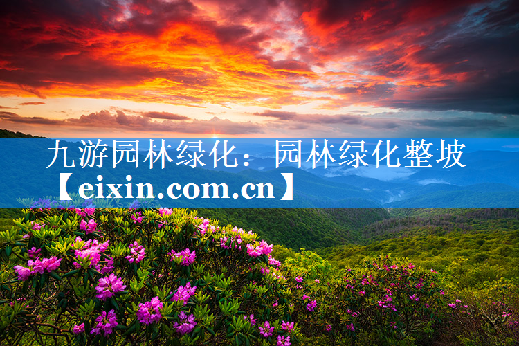 園林綠化整坡
