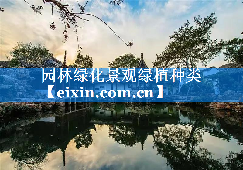 園林綠化景觀綠植種類
