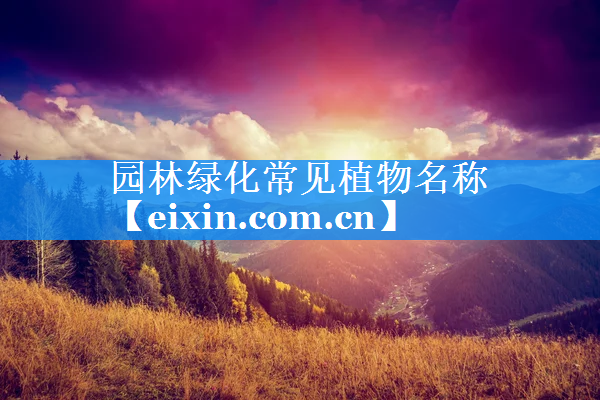 園林綠化常見植物名稱