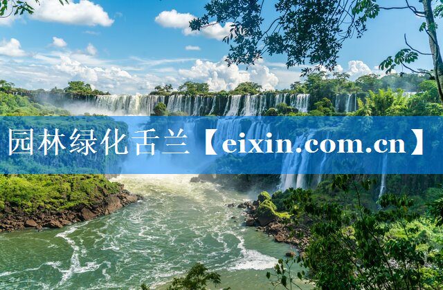 園林綠化舌蘭