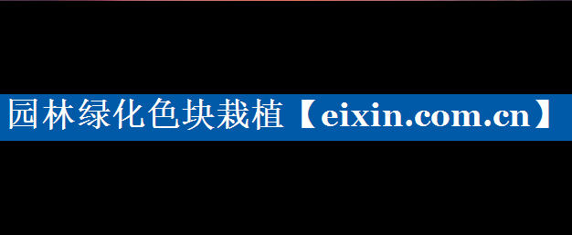 園林綠化色塊栽植
